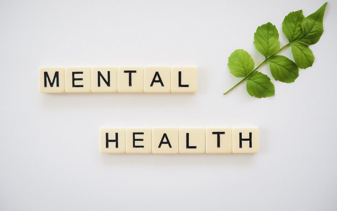 Utah and Nevada Rank in the Bottom Four for Mental Health Among the States